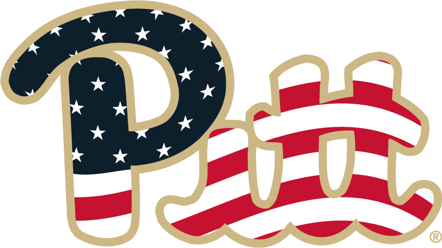 Pittsburgh Panthers 2017-2019 Misc Logo diy iron on heat transfer